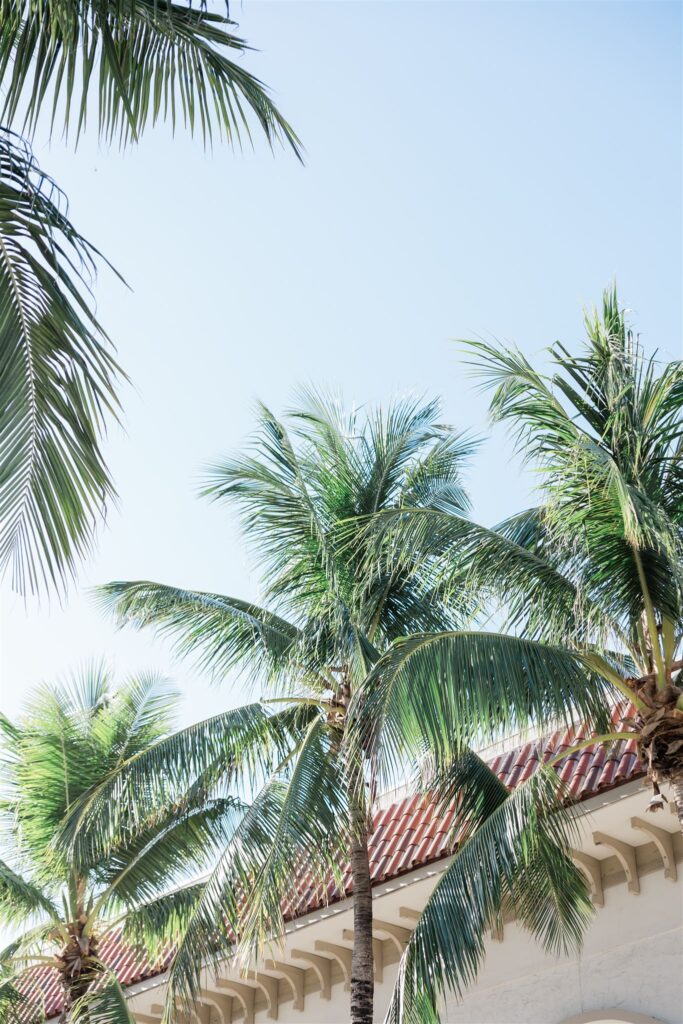 A Palm Beach, Fl engagement session at Worth Ave by Florida wedding photographer Angelika Krug Photo & Film.