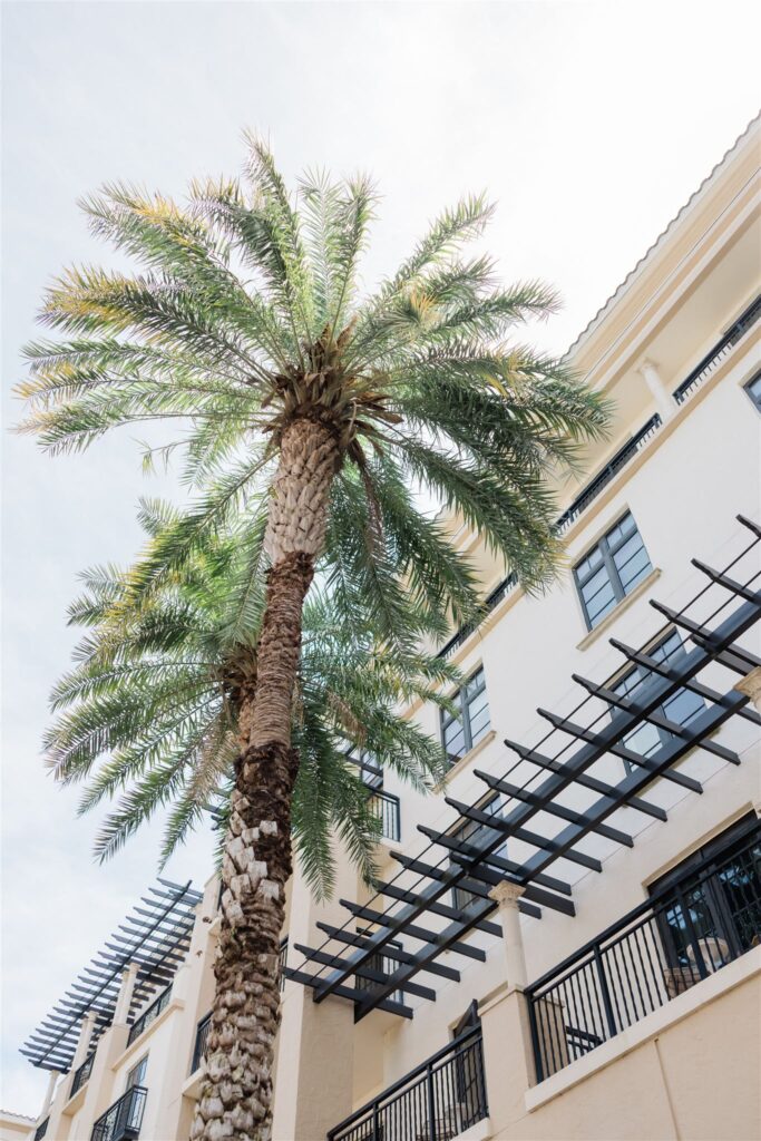A wedding at the Alfond Inn captured by Orlando wedding photographer, Angelika Krug Photo & Film.